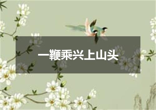 一鞭乘兴上山头