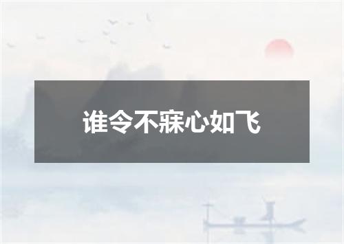 谁令不寐心如飞