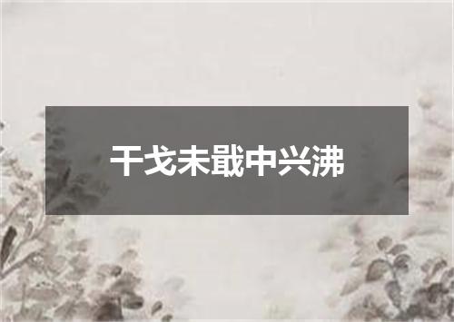 干戈未戢中兴沸