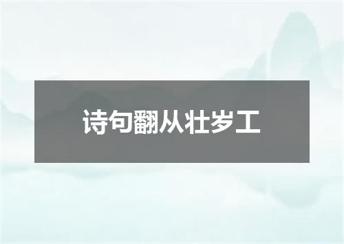 诗句翻从壮岁工