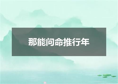 那能问命推行年