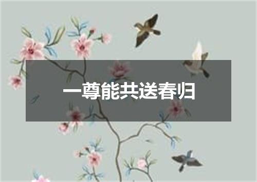 一尊能共送春归
