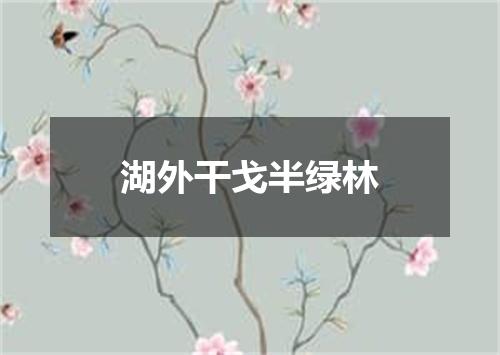 湖外干戈半绿林