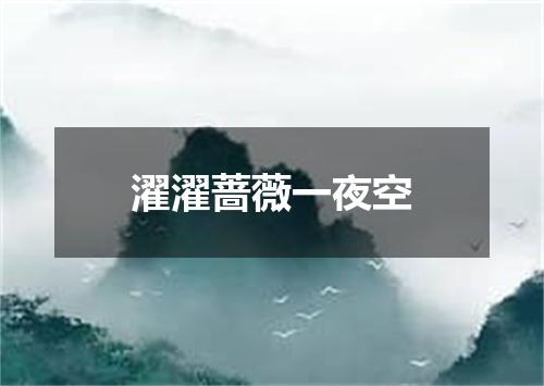 濯濯蔷薇一夜空