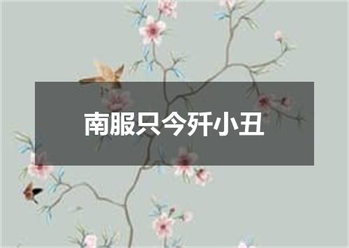 南服只今歼小丑