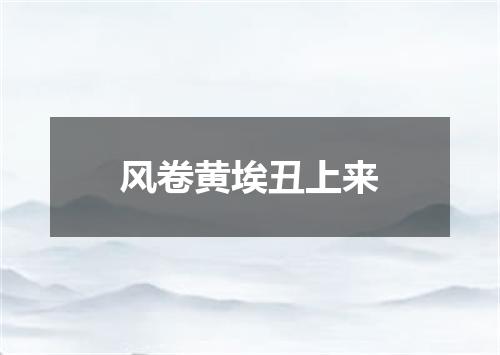 风卷黄埃丑上来