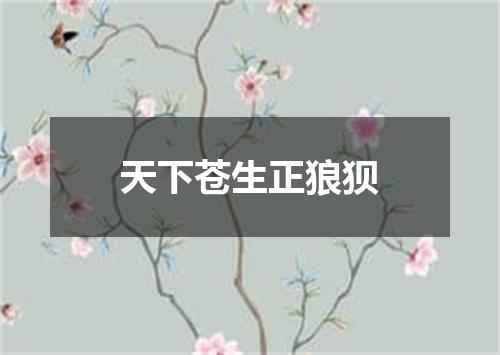 天下苍生正狼狈