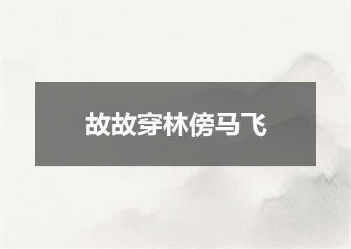 故故穿林傍马飞