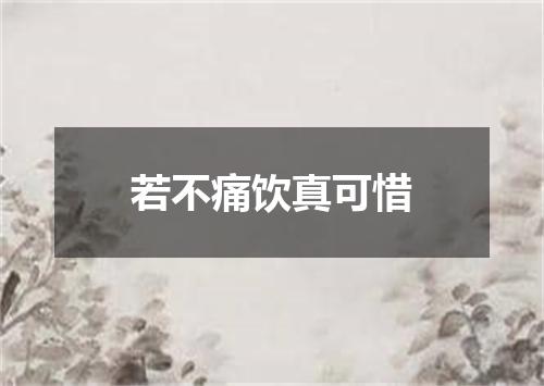 若不痛饮真可惜
