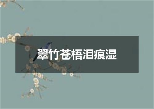 翠竹苍梧泪痕湿