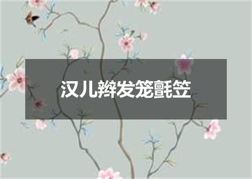 汉儿辫发笼氈笠