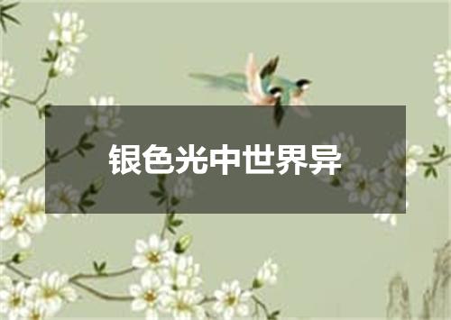 银色光中世界异