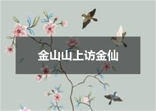 金山山上访金仙