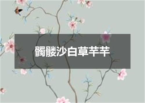 髑髅沙白草芊芊