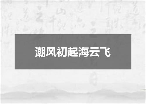 潮风初起海云飞