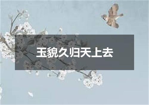 玉貌久归天上去