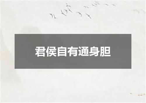 君侯自有通身胆