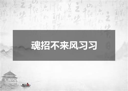 魂招不来风习习