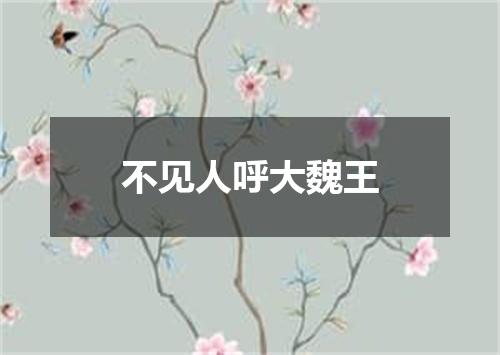 不见人呼大魏王