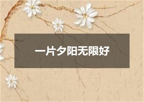 一片夕阳无限好