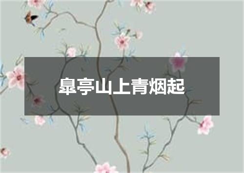 臯亭山上青烟起