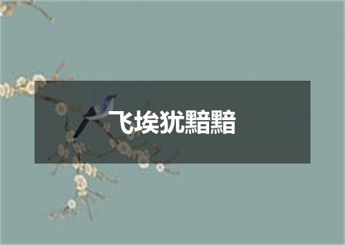 飞埃犹黯黯