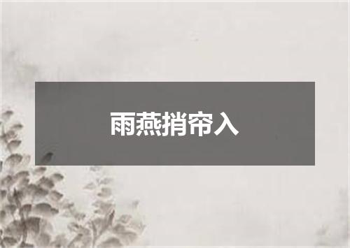 雨燕捎帘入