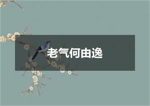 老气何由逸