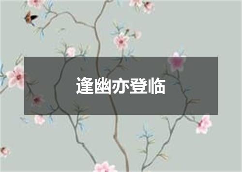 逢幽亦登临