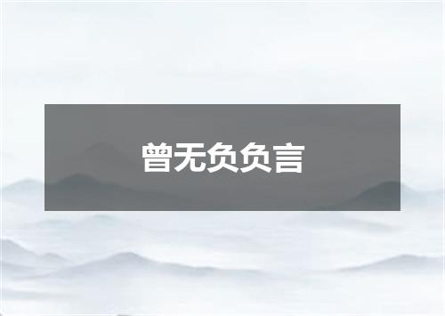 曾无负负言