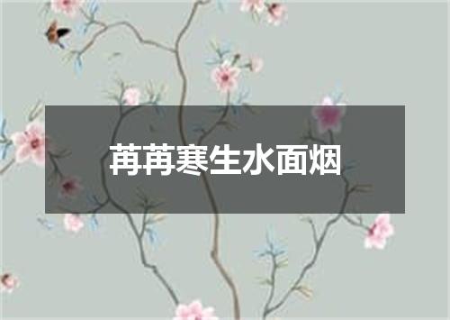 苒苒寒生水面烟