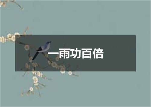 一雨功百倍