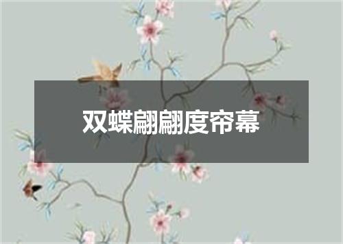 双蝶翩翩度帘幕