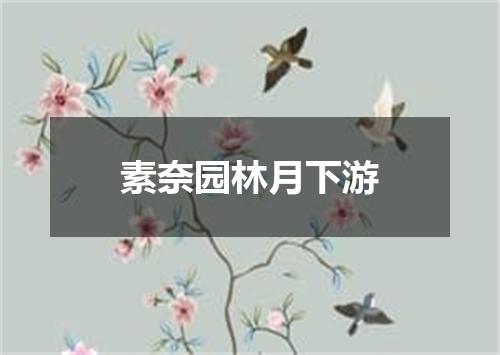 素奈园林月下游