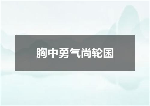 胸中勇气尚轮囷