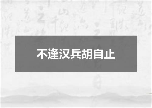 不逢汉兵胡自止