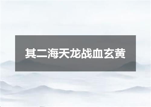 其二海天龙战血玄黄