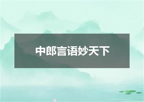 中郎言语妙天下