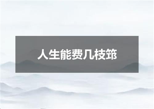 人生能费几枝筇