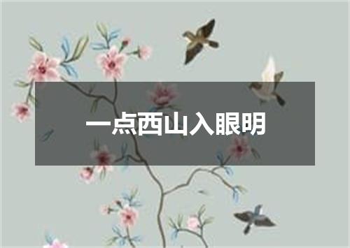 一点西山入眼明