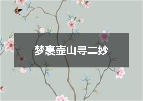 梦裹壶山寻二妙