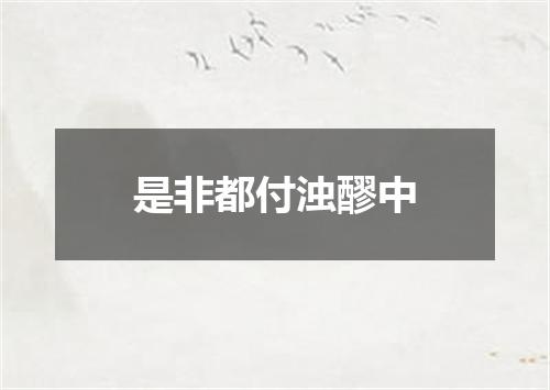 是非都付浊醪中