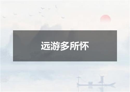 远游多所怀