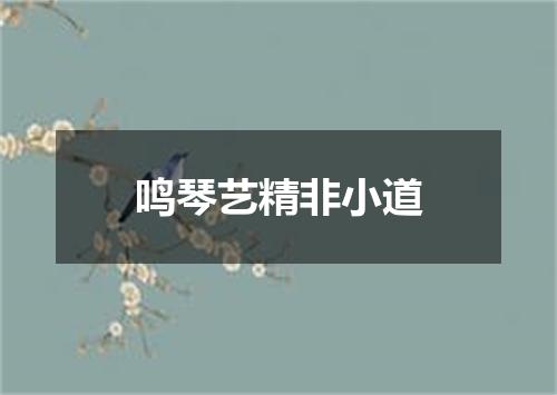 鸣琴艺精非小道