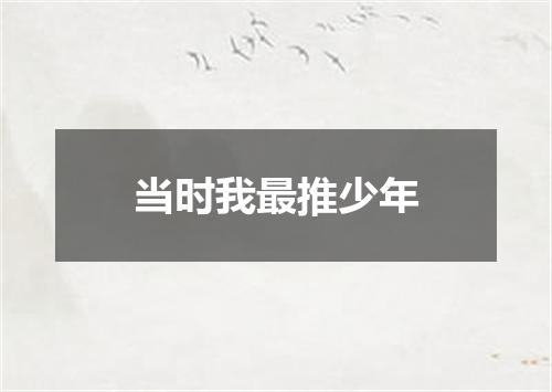 当时我最推少年