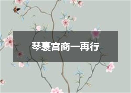 琴裹宫商一再行