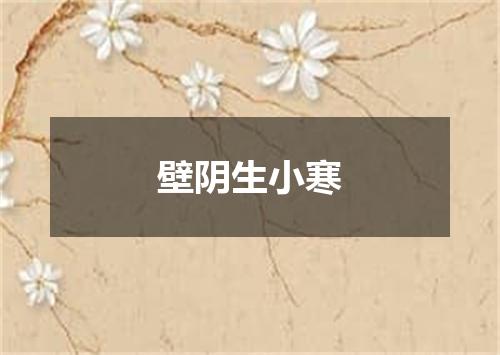 壁阴生小寒