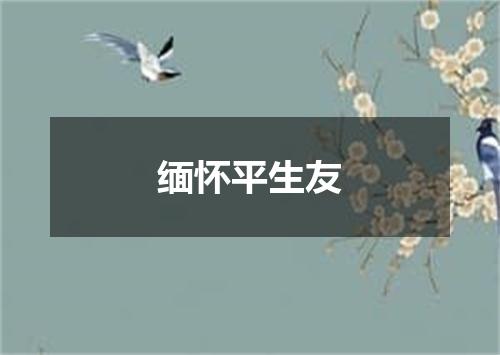 缅怀平生友