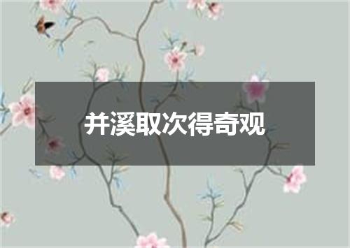 并溪取次得奇观