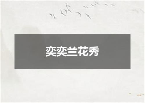 奕奕兰花秀